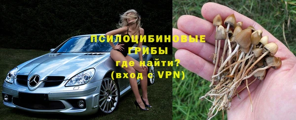 мескалин Пересвет