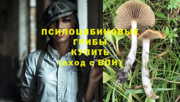 COCAINE Осинники
