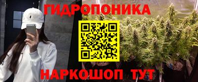 трава Бийск