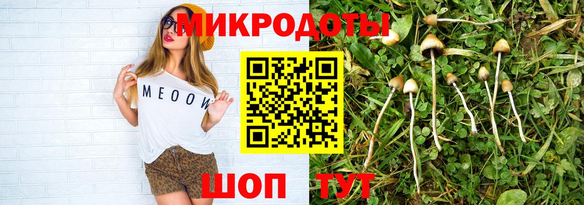 Галлюциногенные грибы прущие грибы Грязи