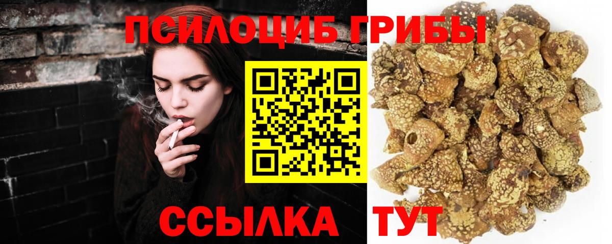 Грязи  Галлюциногенные грибы мухоморы  Вход с VPN  Псилоцибиновые грибы GOLDEN TEACHER 