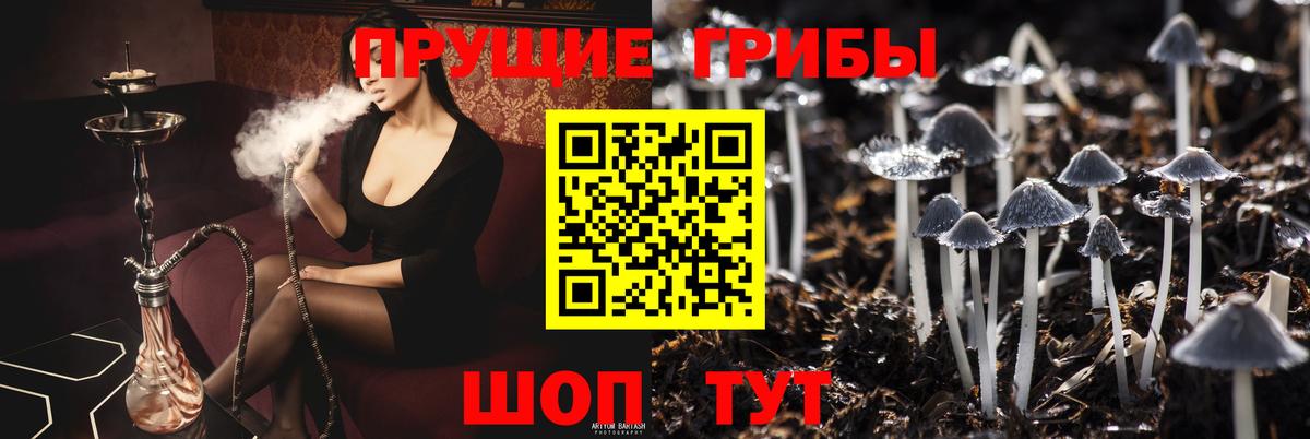 Псилоцибиновые грибы мицелий Грязи
