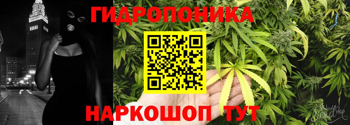 Бошки Шишки тримм  Канабис планчик  Вход с VPN  Каннабис Amnesia  Грязи 