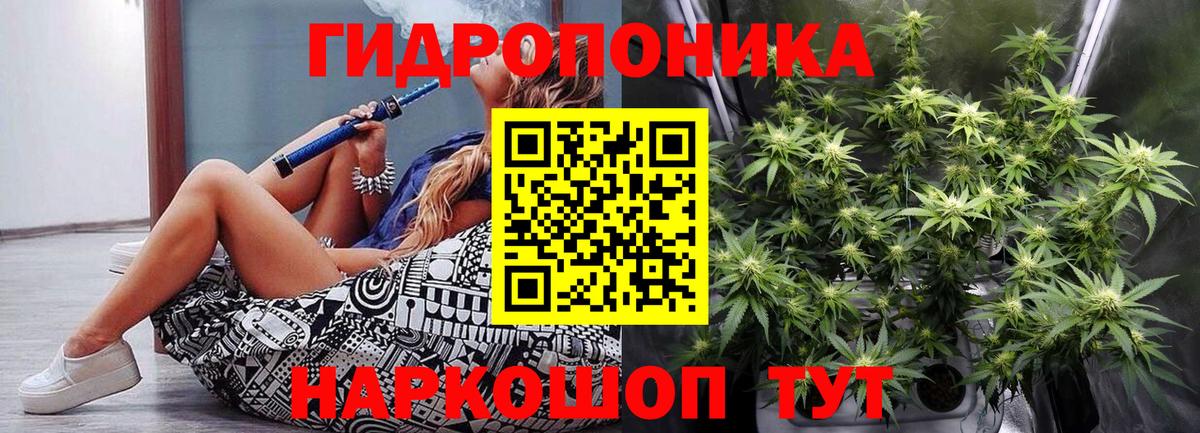 Бошки марихуана OG Kush Грязи